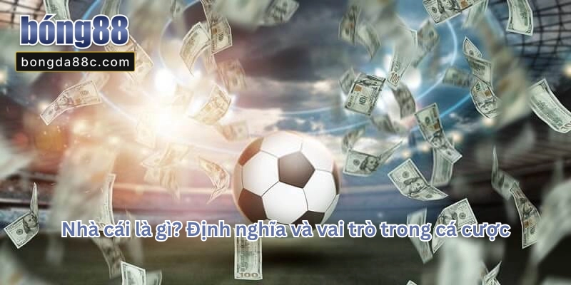 NHÀ CÁI LÀ GÌ